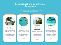 Une Conception De Site Web Exclusive Pour Activités D'Aventure En Plein Air