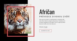 Průvodce Africkou Divokou Zvěří – Šablona Stránky HTML