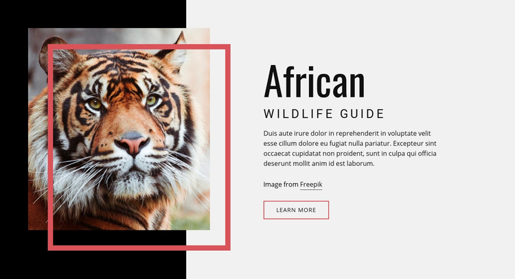 African wildlife guide Homepage Design