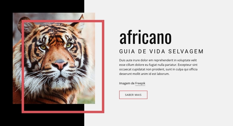 Guia da vida selvagem africana Design do site