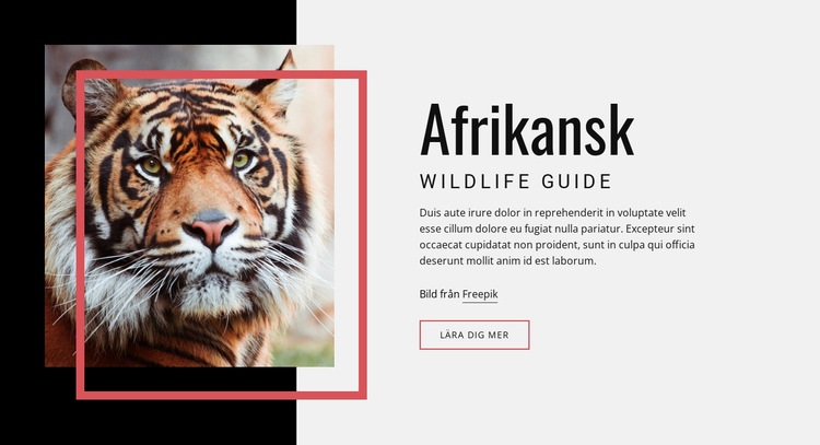Afrikansk djurlivsguide Hemsidedesign
