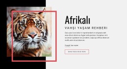 Afrika Yaban Hayatı Rehberi Için Bir Sayfa Şablonu