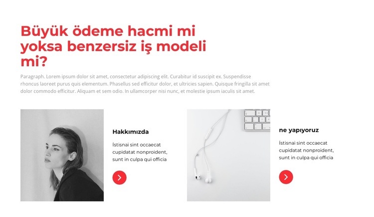 İlkeler hakkında Web Sitesi Mockup'ı