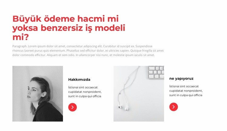 İlkeler hakkında Web sitesi tasarımı