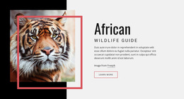 Website Design African Wildlife Guide For Any Device