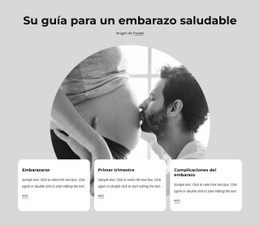 Embarazo Saludable - HTML Site Builder