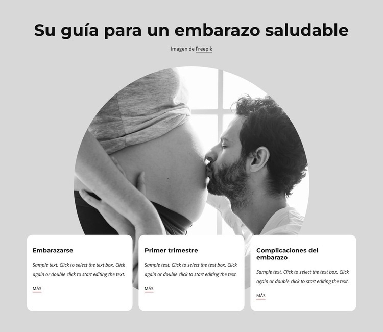 Embarazo saludable Maqueta de sitio web