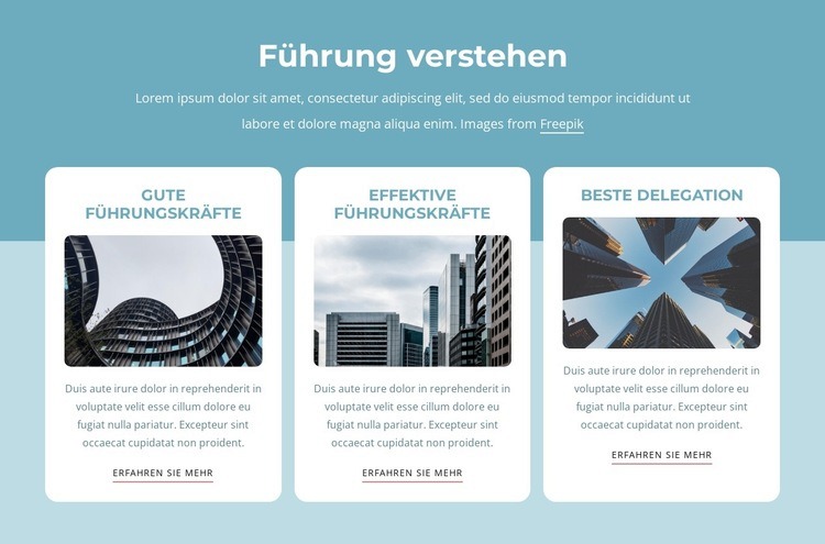 Führung verstehen Website design