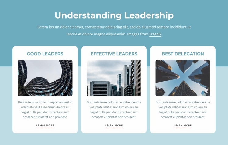 Understanding leadership Homepage Design