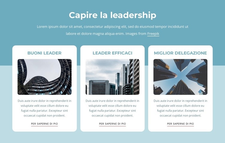 Capire la leadership Modelli di Website Builder