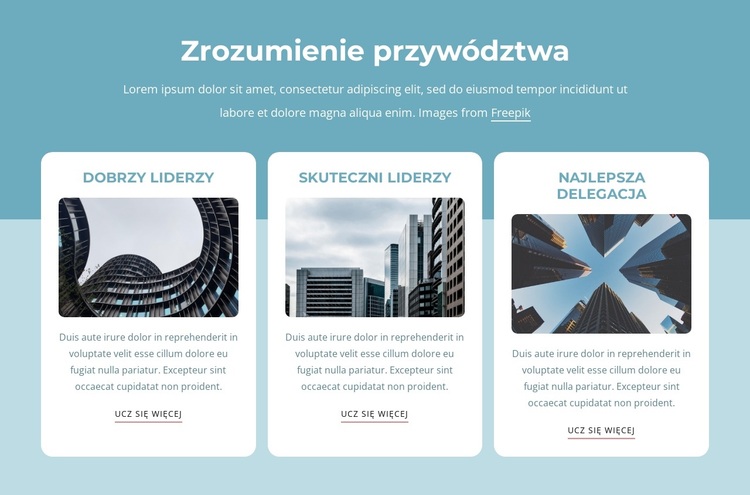 Zrozumienie przywództwa Motyw WordPress