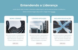 Entendendo A Liderança - Web Design Multifuncional