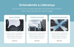 Melhor Site Para Entendendo A Liderança