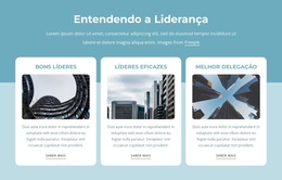 Entendendo A Liderança - Tema WordPress Simples