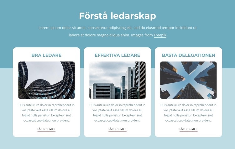 Förstå ledarskap WordPress -tema