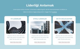 Liderliği Anlamak Için Sayfa Web Sitesi