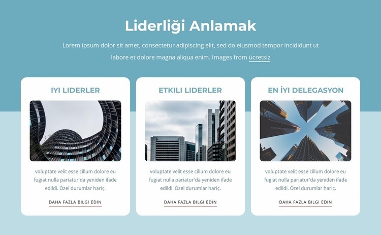 Liderliği anlamak Html Web Sitesi Oluşturucu