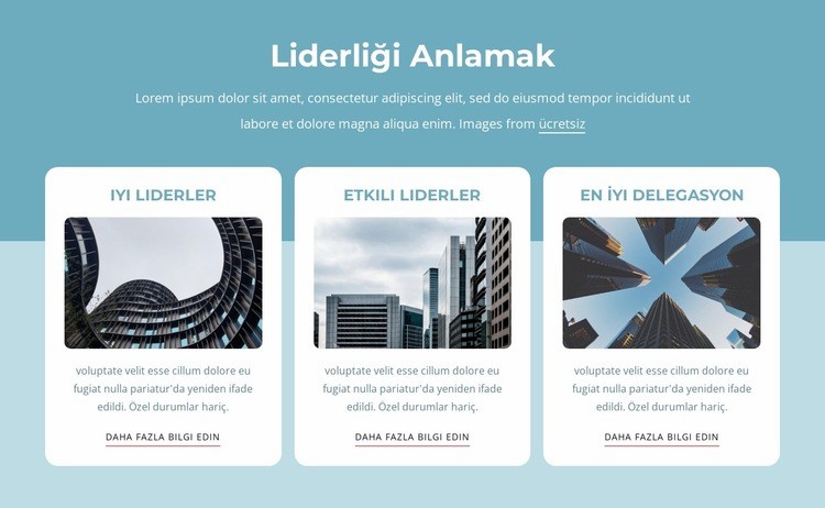 Liderliği anlamak Web Sitesi Oluşturucu Şablonları