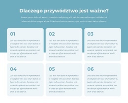 Program Aktywnych Liderów - Profesjonalny Projekt Strony Internetowej