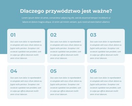 Funkcjonalność Układu Dla Program Aktywnych Liderów