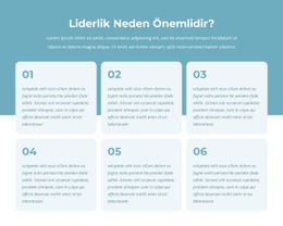Aktif Liderler Programı Basit HTML CSS Şablonu