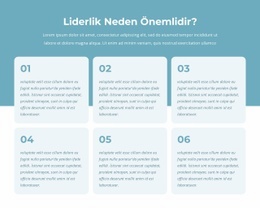 Aktif Liderler Programı Için En İyi Uygulamalar
