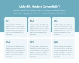 Aktif Liderler Programı #One-Page-Template-Tr-Seo-One-Item-Suffix