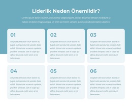 Aktif Liderler Programı Için Düzen Işlevi