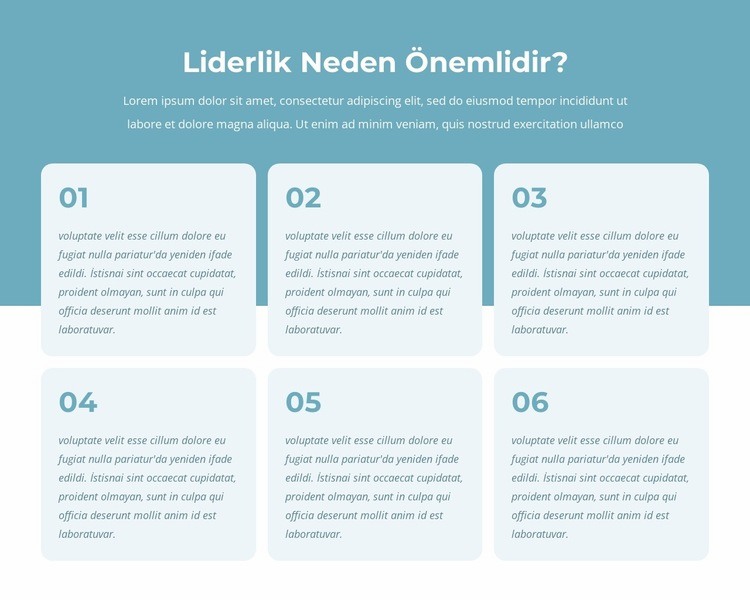 Aktif liderler programı Web sitesi tasarımı