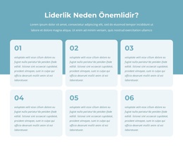 Aktif Liderler Programı - Harika WordPress Teması