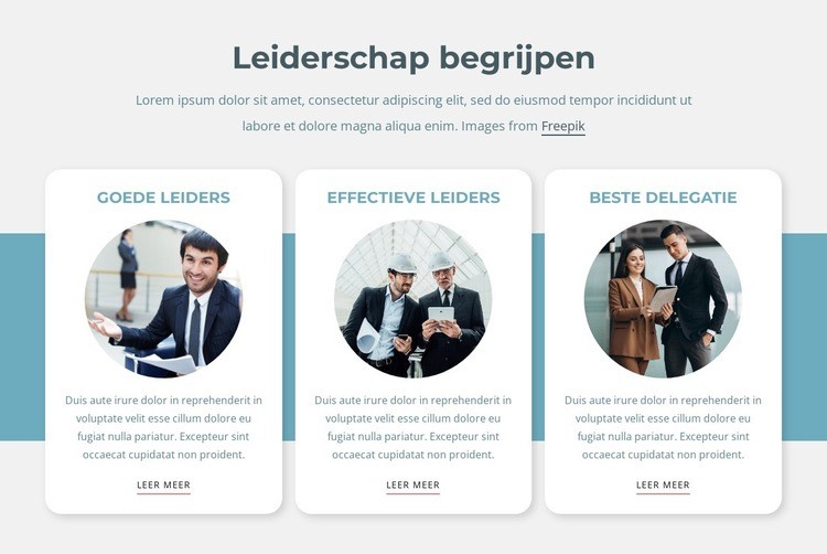 Leiders denken buiten de kaders Website mockup