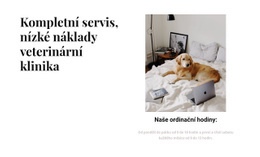 Kompletní Veterinární Klinika – Profesionálně Navrženo