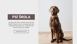 Psi Profesionální Škola – Profesionálně Navrženo