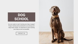 Dog Professional School CSS Template