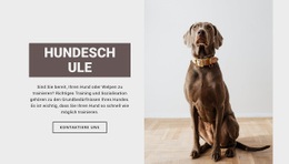 Hundefachschule HTML-Vorlage