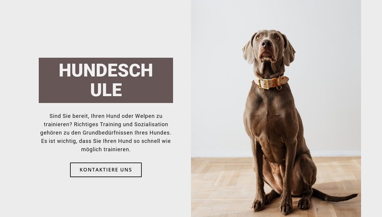 Hundefachschule Website Builder-Vorlagen