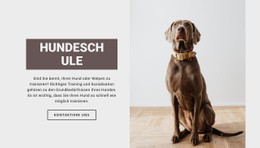Benutzfertiges Website-Design Für Hundefachschule