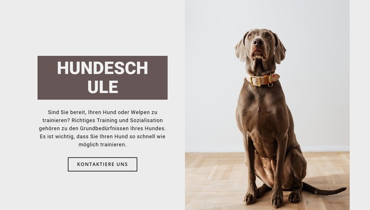 Hundefachschule Website-Modell