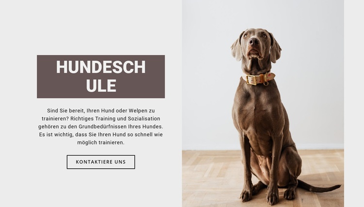 Hundefachschule Website-Vorlage