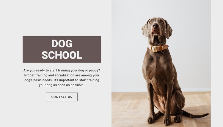 Dog professional school Elementor Template Alternative