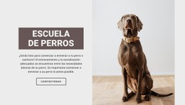 Diseño De Sitio Listo Para Usar Para Escuela Profesional De Perros