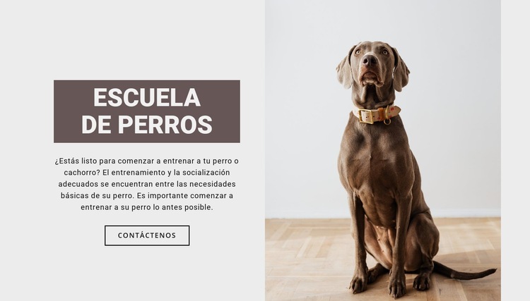 Escuela profesional de perros Maqueta de sitio web