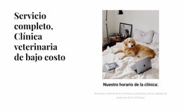 Constructor Joomla Para Clínica Veterinaria De Servicio Completo