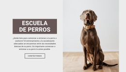 Escuela Profesional De Perros - Plantilla De Página Web