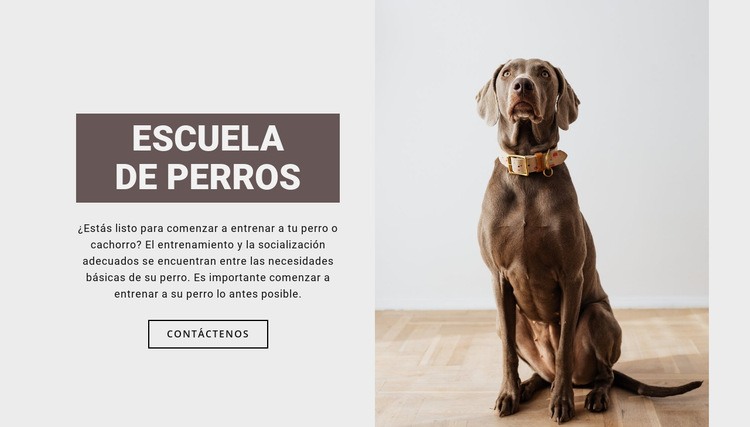 Escuela profesional de perros Tema de WordPress