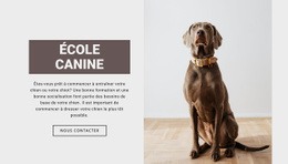 Conception De Site Prête À L'Emploi Pour École Professionnelle De Chien