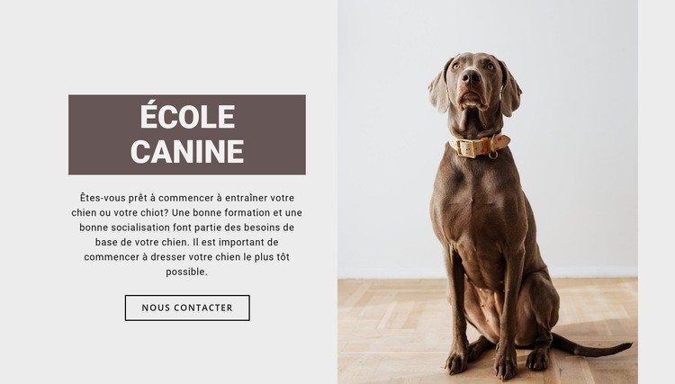 École professionnelle de chien Conception de site Web