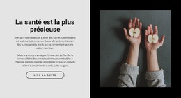 Nourriture Saine Dans Notre Café Modèle CSS Simple