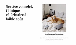 Clinique Vétérinaire À Service Complet - Modèle De Site