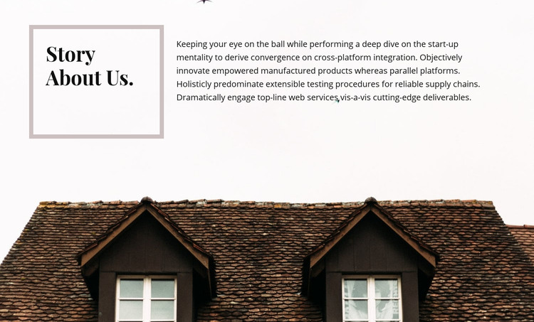 Story about us Homepage Design